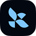 LangChain 应用开发者